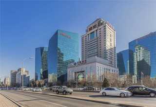 三门家装水泥防水背胶供应商家